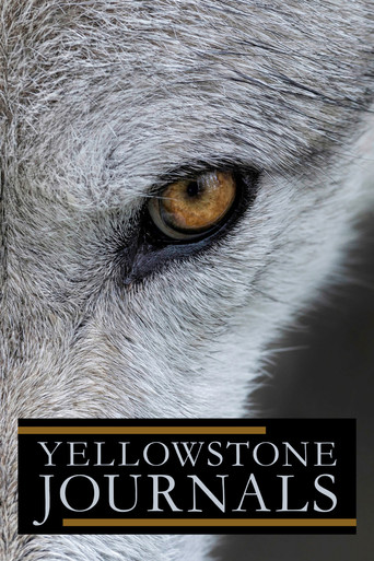 Watch Yellowstone Journals 2019 poster