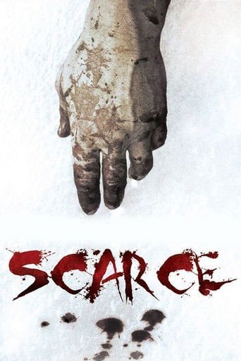 Watch Scarce 2008 poster