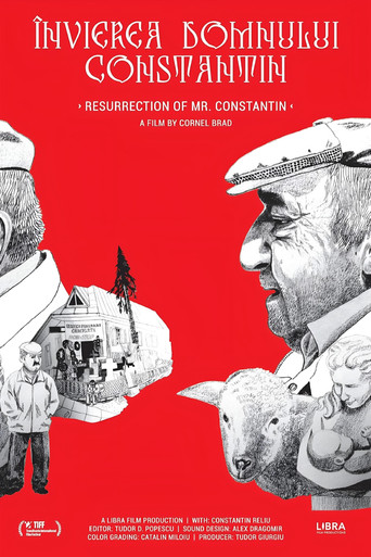 Watch Resurrection of Mr. Constantin 2019 poster