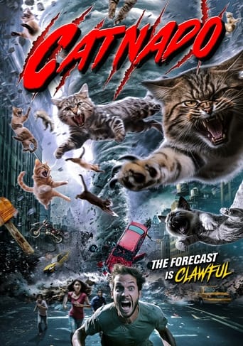 Watch Catnado 2024 poster