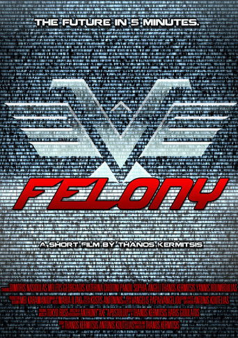 Felony 2014
