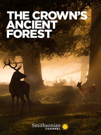 Watch The Crown's Ancient Forest 2021 poster
