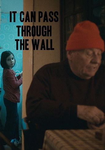 Watch It Can Pass Through the Wall 2014 poster