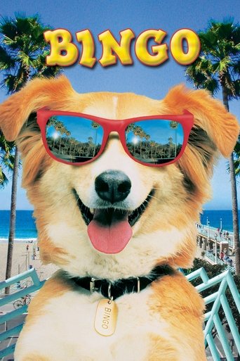 Watch Bingo 1991 poster