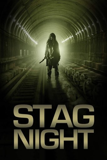 Watch Stag Night 2008 poster