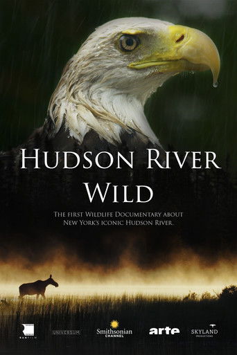Watch Hudson River Wild 2022 poster