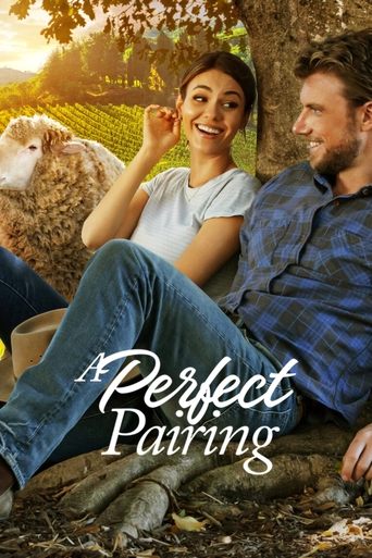 Watch A Perfect Pairing 2022 poster