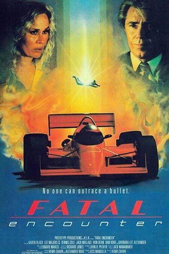 Watch Fatal Encounter 1990 poster