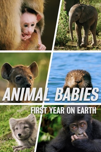 Watch Animal Babies: First Year on Earth 2019 poster