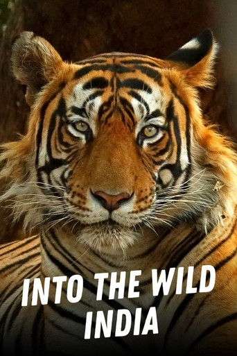 Watch Into the Wild India 2020 poster