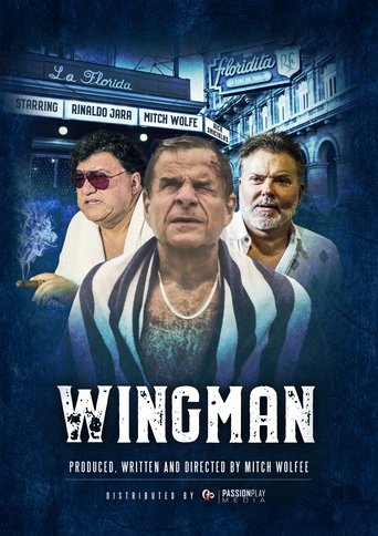 Watch WingMan 2020 poster