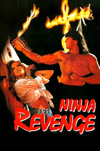 Watch Ninja Vengeance 1993 poster