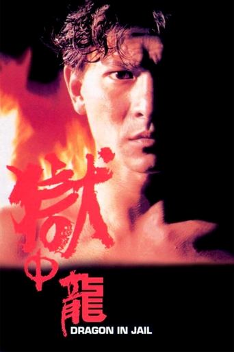 Watch Dragon in Jail 1990 poster