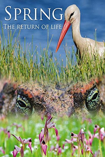 Watch Spring: The Return of Life 2014 poster