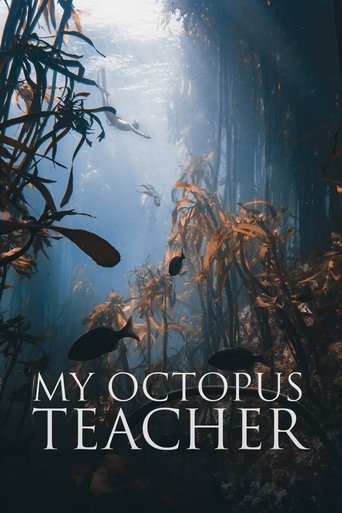 Watch My Octopus Teacher 2020 poster