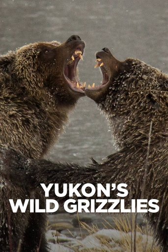 Watch Yukon's Wild Grizzlies 2021 poster