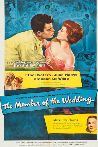 Watch The Member of the Wedding 1952 poster