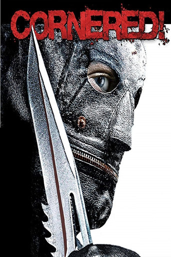 Watch Cornered! 2009 poster