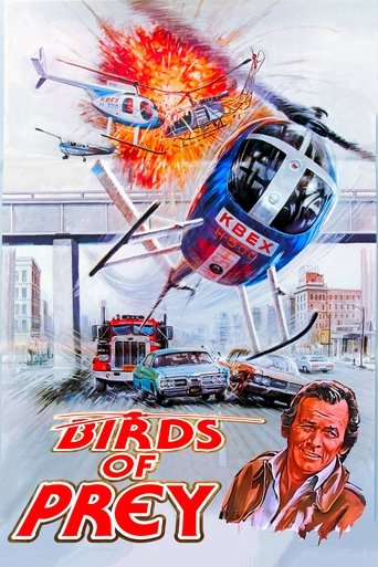Watch Birds of Prey 1973 poster