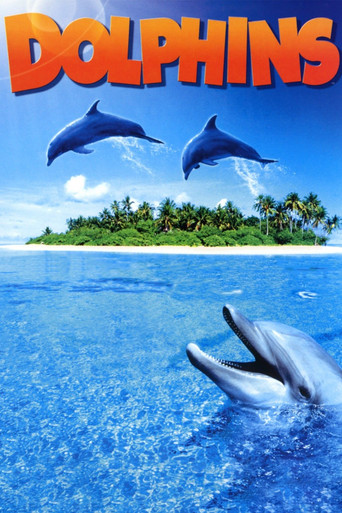 Watch Dolphins 2000 poster