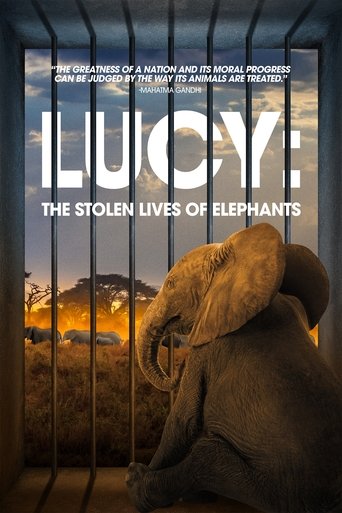 Watch Lucy: The Stolen Lives of Elephants 2025 poster