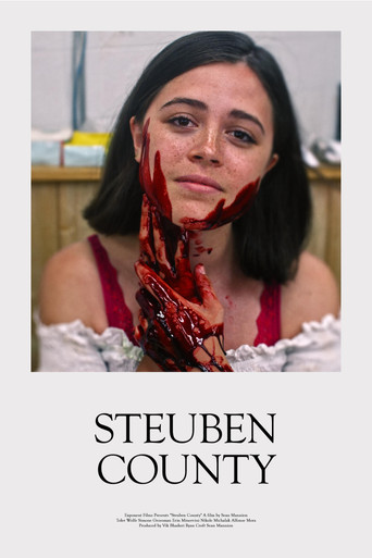 Watch Steuben County 2020 poster