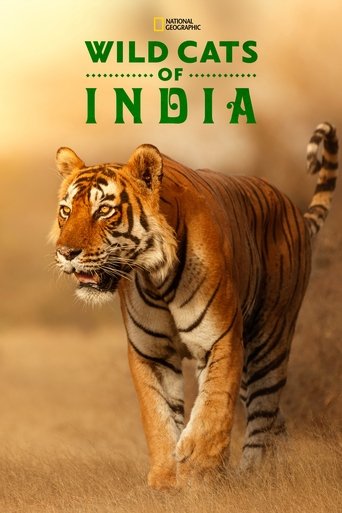 Watch Wild Cats of India 2020 poster