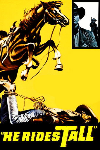 Watch He Rides Tall 1964 poster