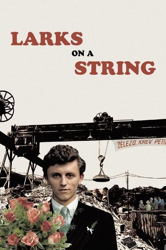 Watch Larks on a String 1990 poster