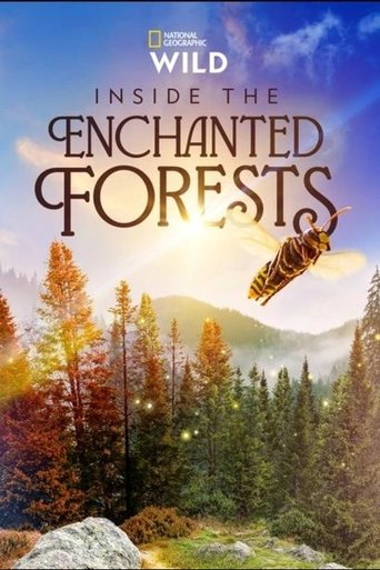 Inside the Enchanted Forests 2024