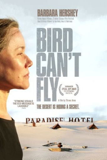Watch The Bird Can't Fly 2008 poster