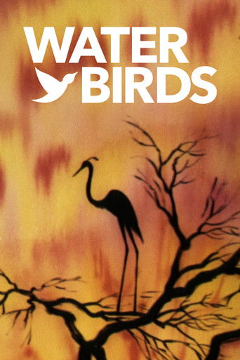 Watch Water Birds 1952 poster