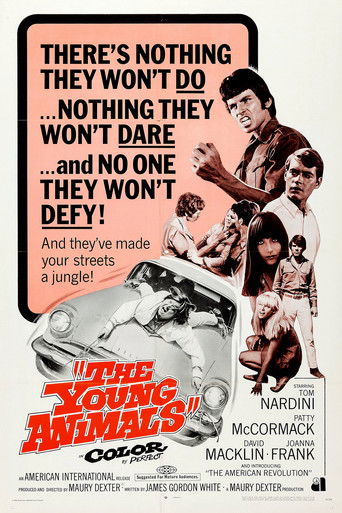 Watch The Young Animals 1968 poster