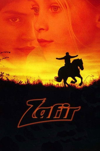 Watch Zafir 2003 poster