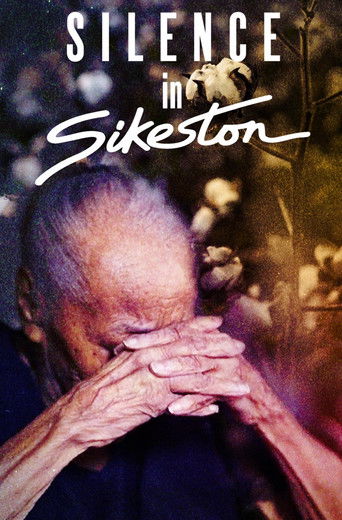 Watch Silence in Sikeston 2024 poster