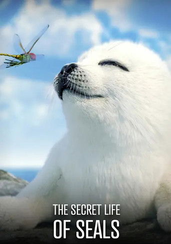 Watch The Secret Life of Seals 2022 poster