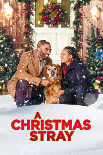 Watch A Christmas Stray 2021 poster