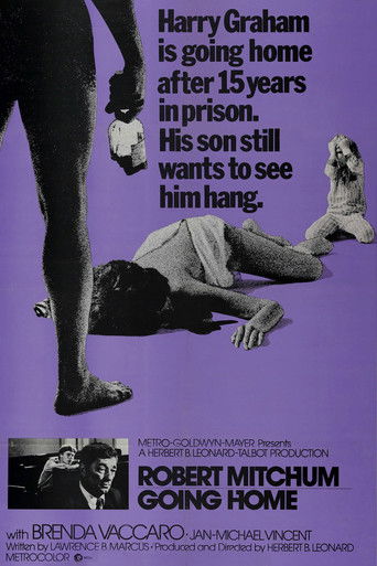 Watch Going Home 1971 poster
