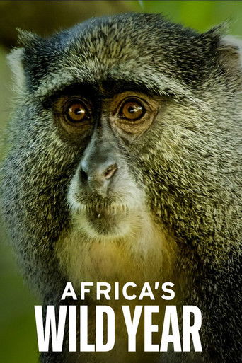 Watch Africa's Wild Year 2021 poster