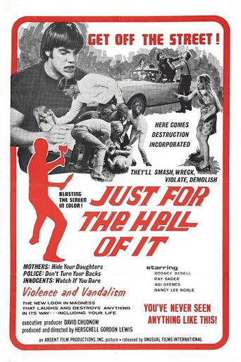 Watch Just for the Hell of It 1968 poster
