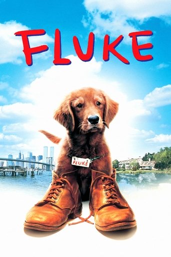 Watch Fluke 1995 poster