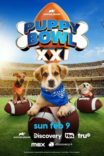 Watch Puppy Bowl XXI 2025 poster