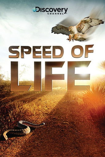 Watch Speed of Life 2010 poster