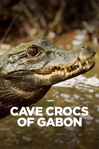 Watch Cave Crocs of Gabon 2018 poster