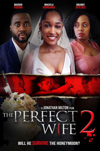Watch The Perfect Wife 2 2022 poster