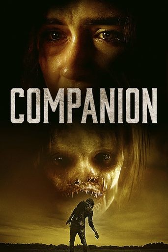 Watch Companion 2021 poster