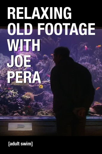 Watch Relaxing Old Footage With Joe Pera 2020 poster