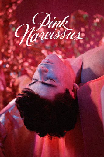 Watch Pink Narcissus 1971 poster