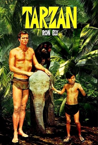 Watch Tarzan (1966) 1966 poster