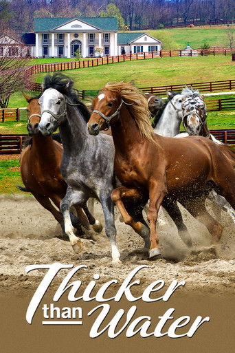 Watch Thicker Than Water 2005 poster